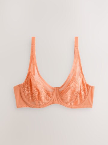 Bustino Reggiseno di Next in blu