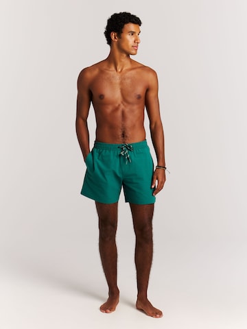 PROTEST Swimming shorts 'PRTAgden' in Green