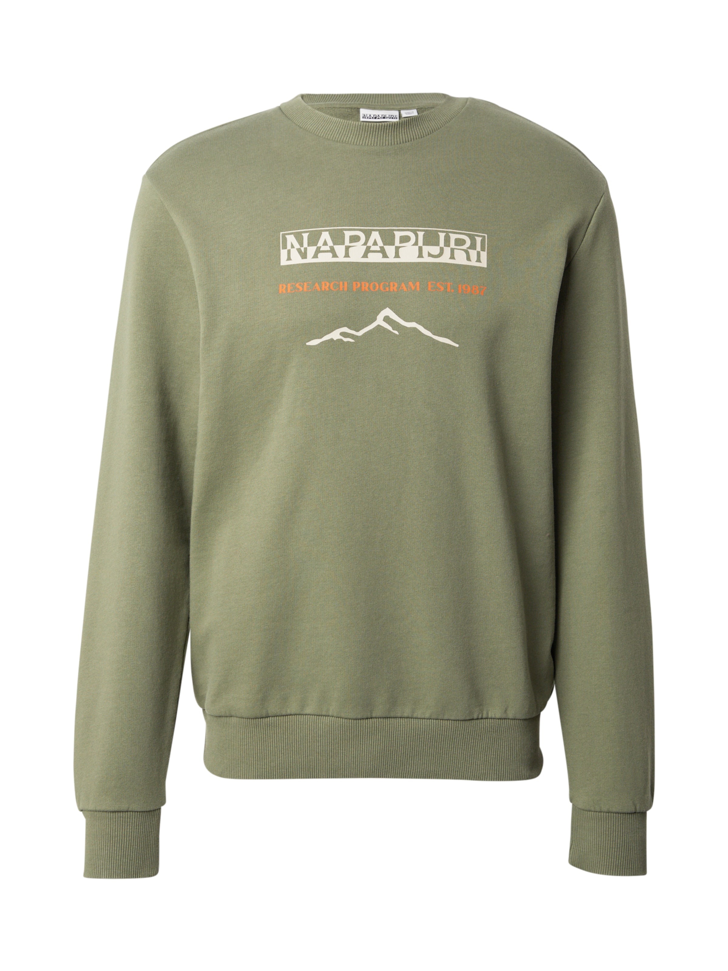 NAPAPIJRI Collegepaita 'BANEM' värissä vihreä: etupuoli