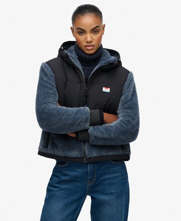 Superdry Tussenjas in Blauw