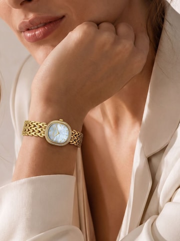CERRUTI 1881 Analoguhr 'Watch Udine'‌ in Gold