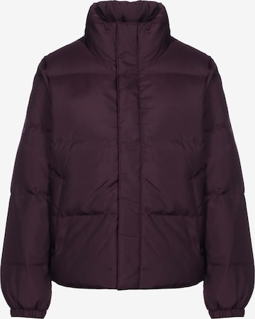 Carhartt WIP Winter Jacket in Purple: front