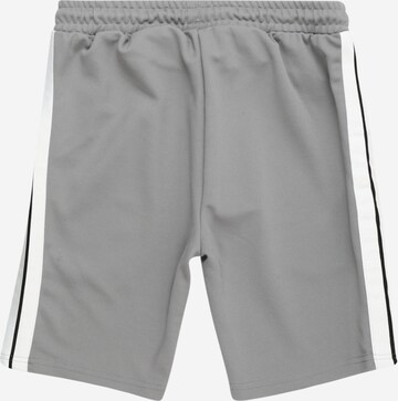 ELLESSE Regular Shorts 'Jet' in Grau