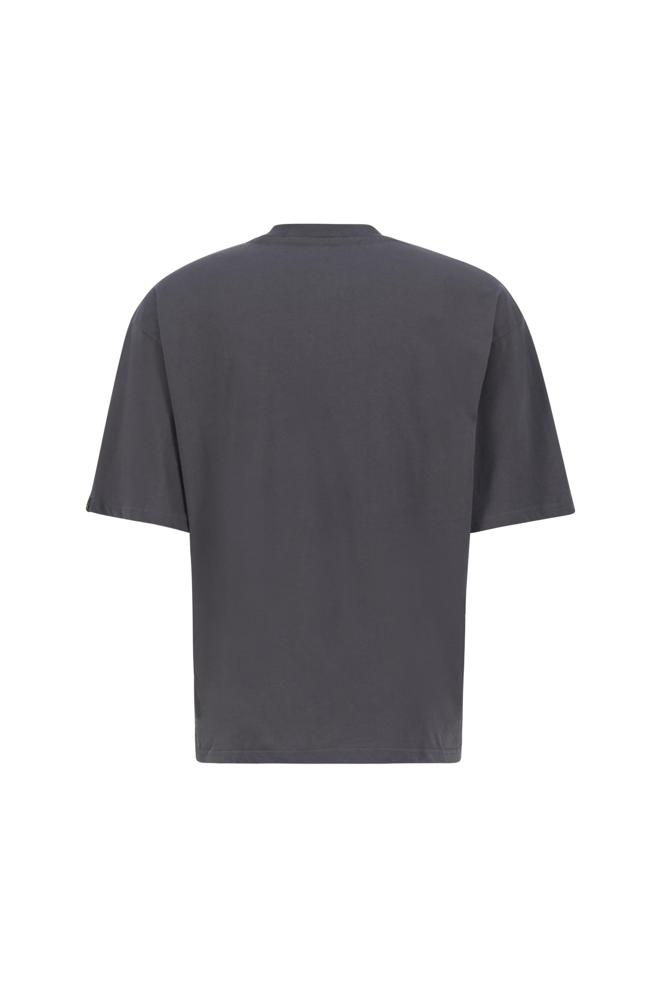 ALPHA INDUSTRIES Shirt in Grau