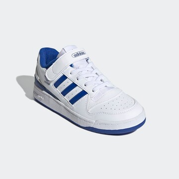 ADIDAS ORIGINALS Sneaker 'Forum Low' i vit