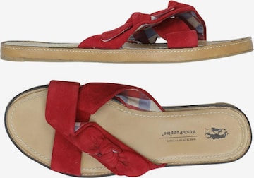 HUSH PUPPIES Sandalen 41,5 in Rot: Vorderseite