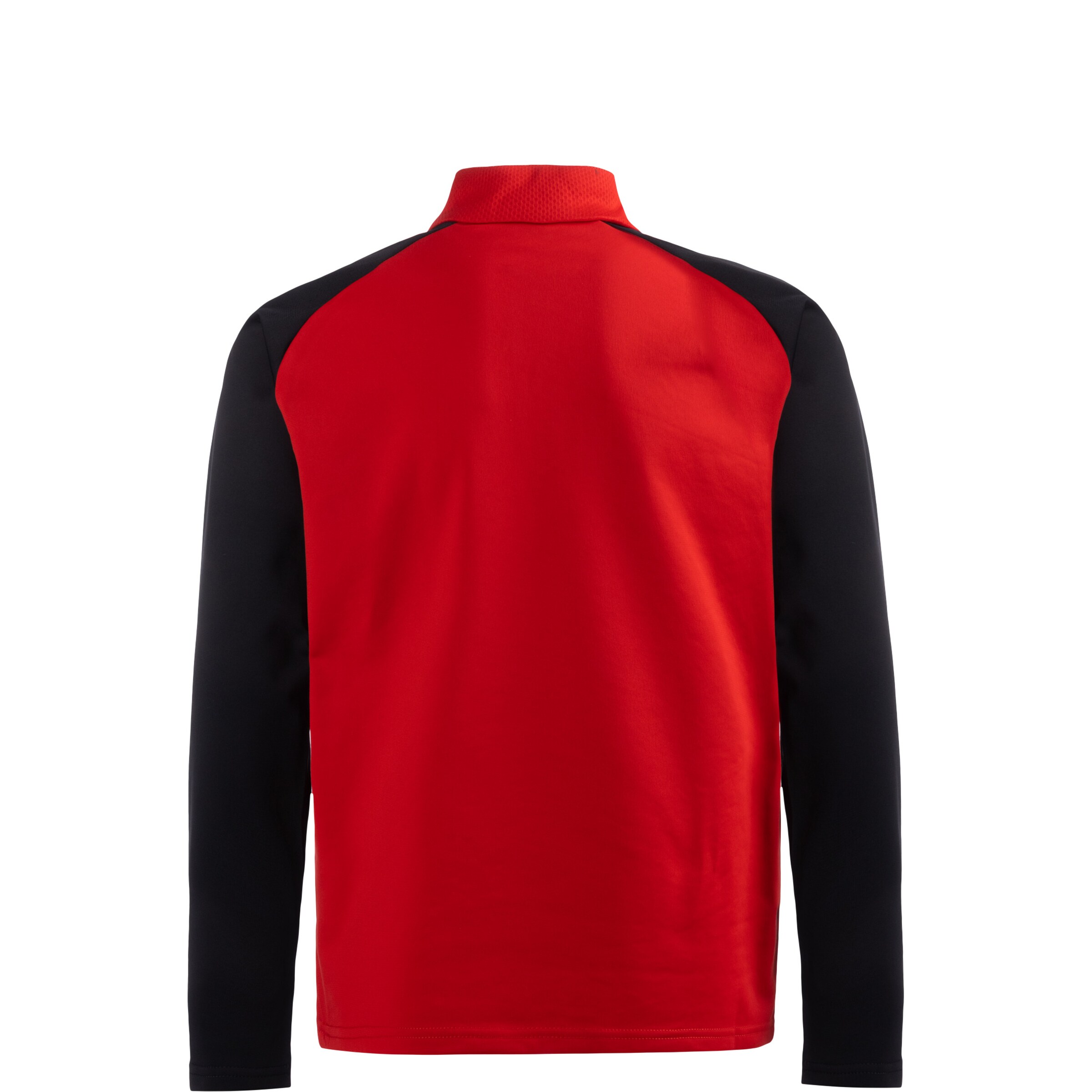 PUMA Funktionsshirt 'TeamLiga 14' in Rot