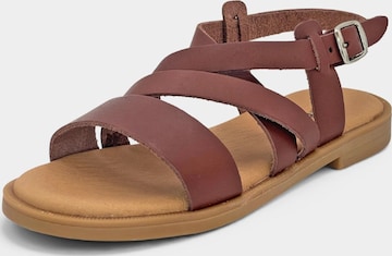 Pisamonas - Sandalias en marrón: frente