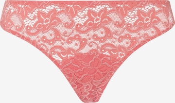 Hanro String Tanga  ' Moments ' in Pink: predná strana