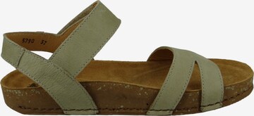 EL NATURALISTA Sandals in Grey