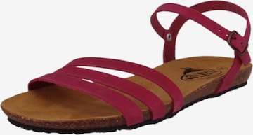 Sandales à lanières Plakton en rouge : devant