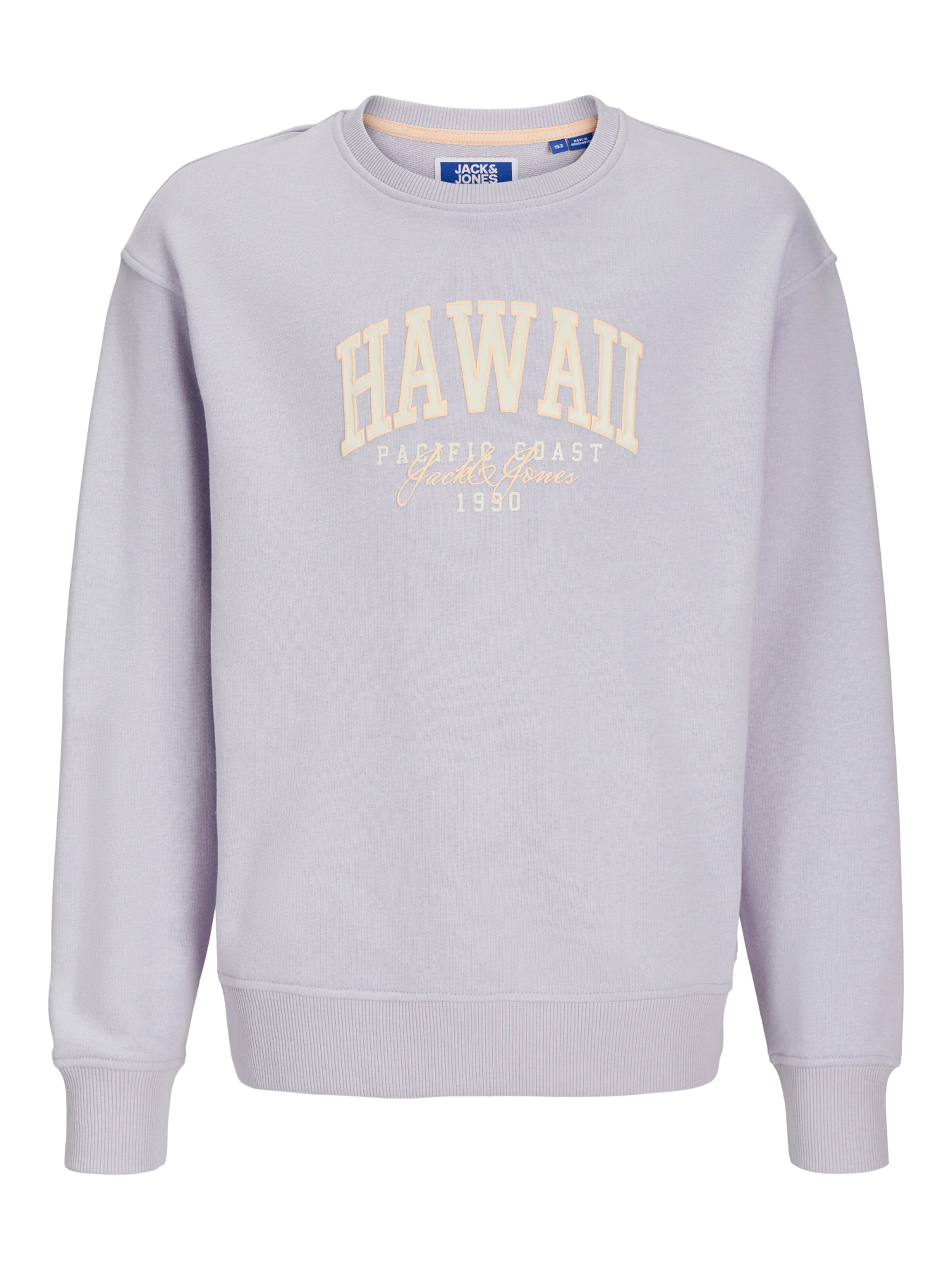Jack & Jones Junior - Sweatshirt 'Detroit' em cinzento: frente