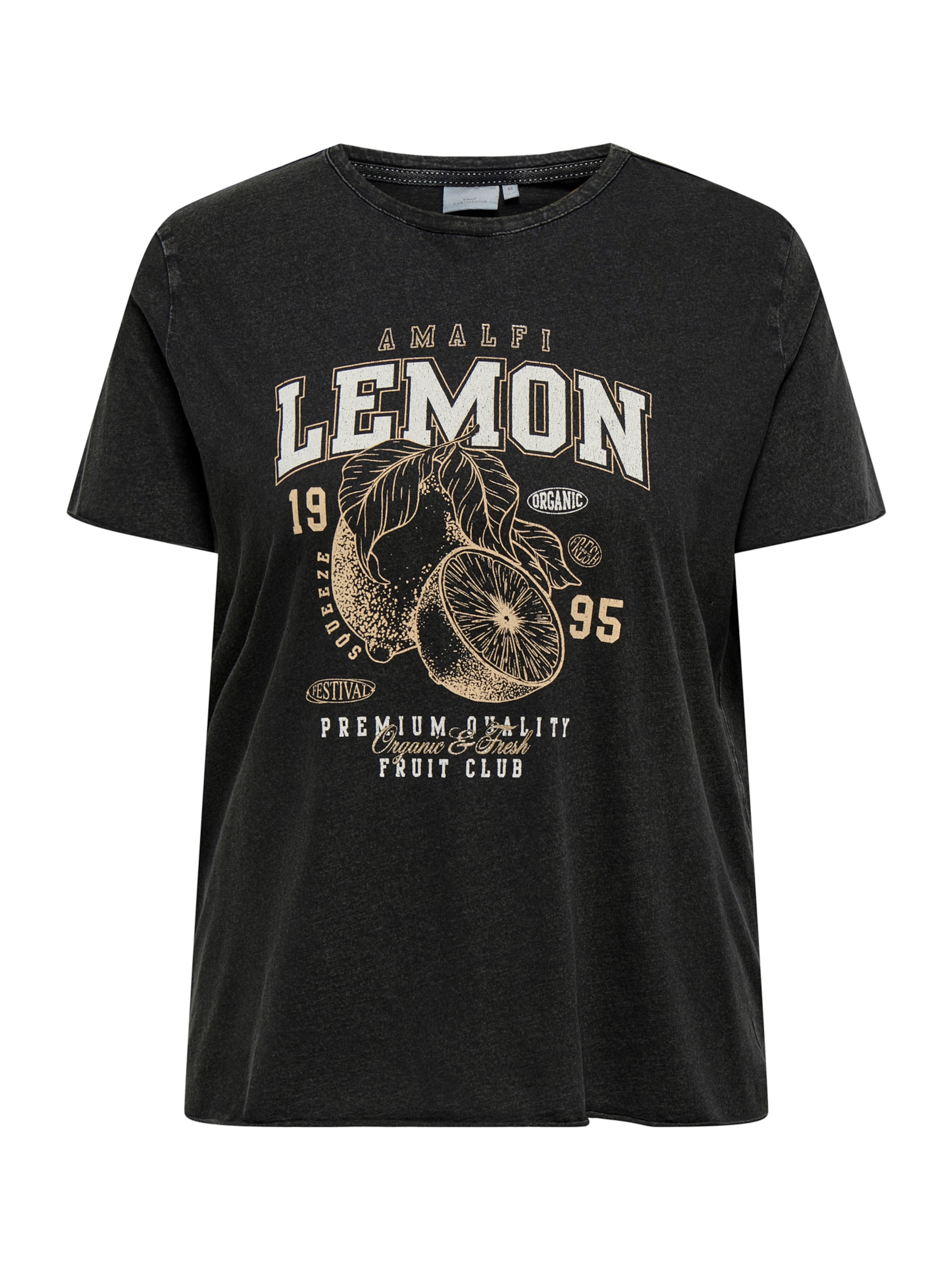 ONLY Carmakoma Shirt in Black: front