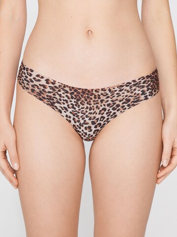 Tezenis Thong in Brown: front