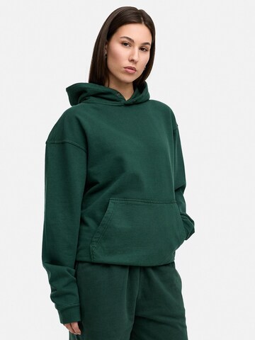 Daily Cotton Sweatshirt 'DCAVILA' in Green: front