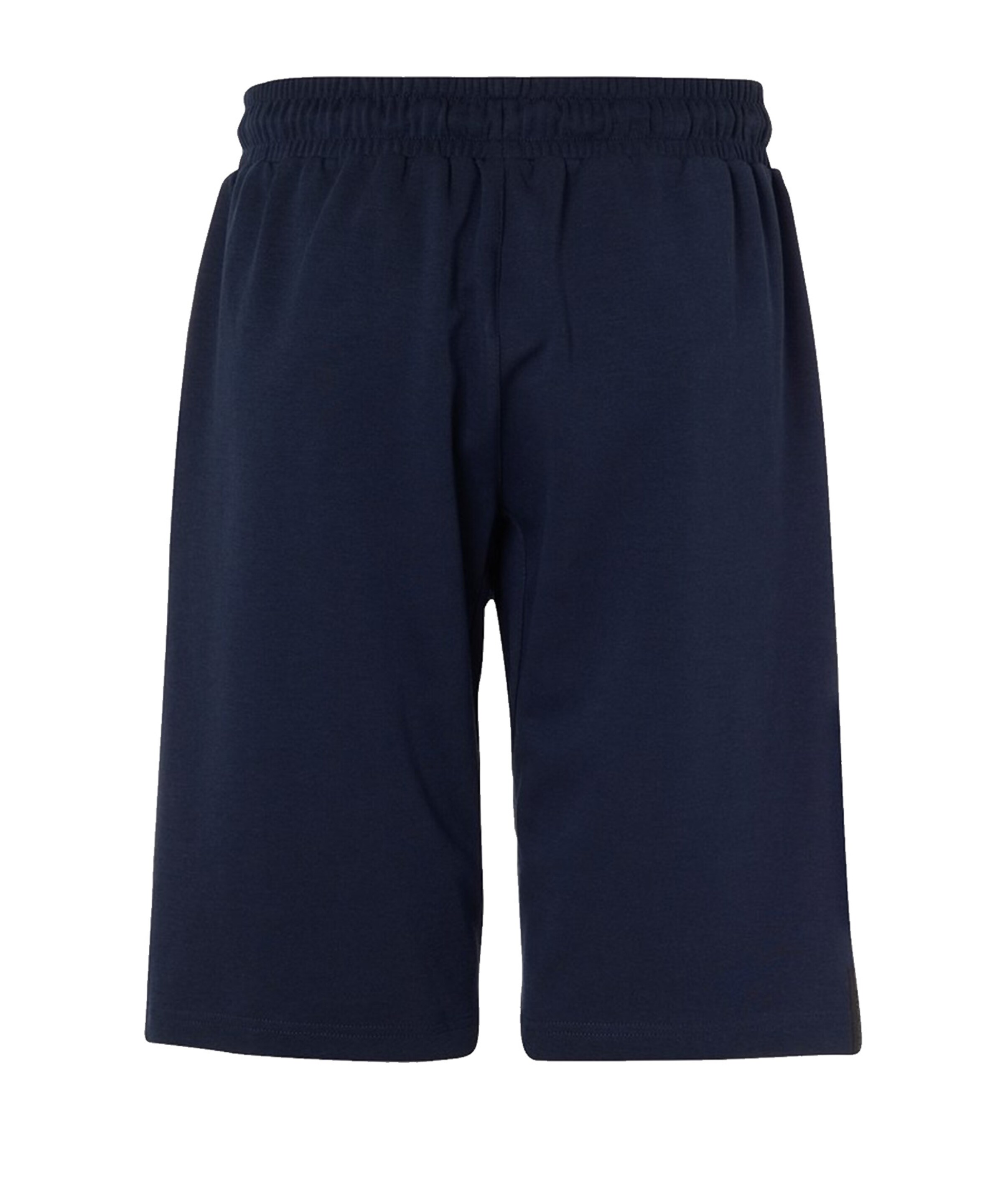 UHLSPORT Regular Workout Pants in Blue