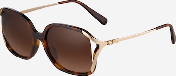 COACH Sonnenbrille '0HC8280U' in Braun: predná strana