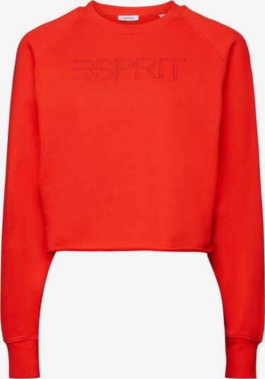 ESPRIT Sweatshirt in rot / schwarz, Produktansicht