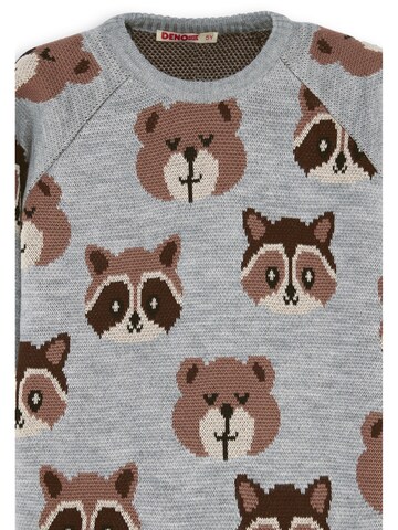 Pull-over ' CFF-25S-065 ' Denokids en gris
