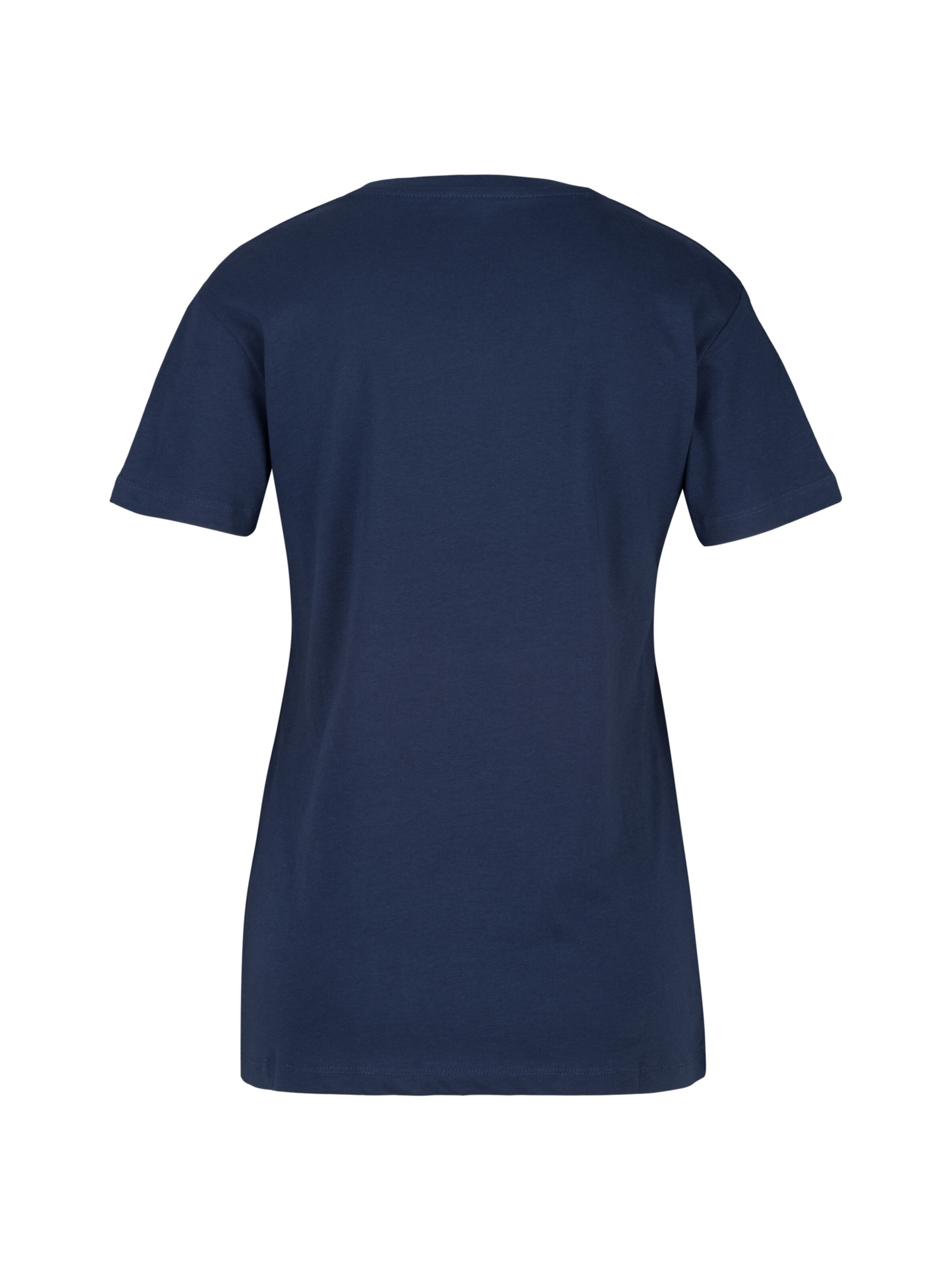 REPLAY T-Shirt in Blau