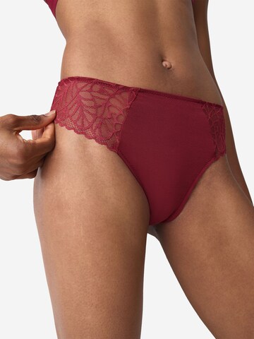 TRIUMPH Panty ' Red Label Pretty Modal ' in Red