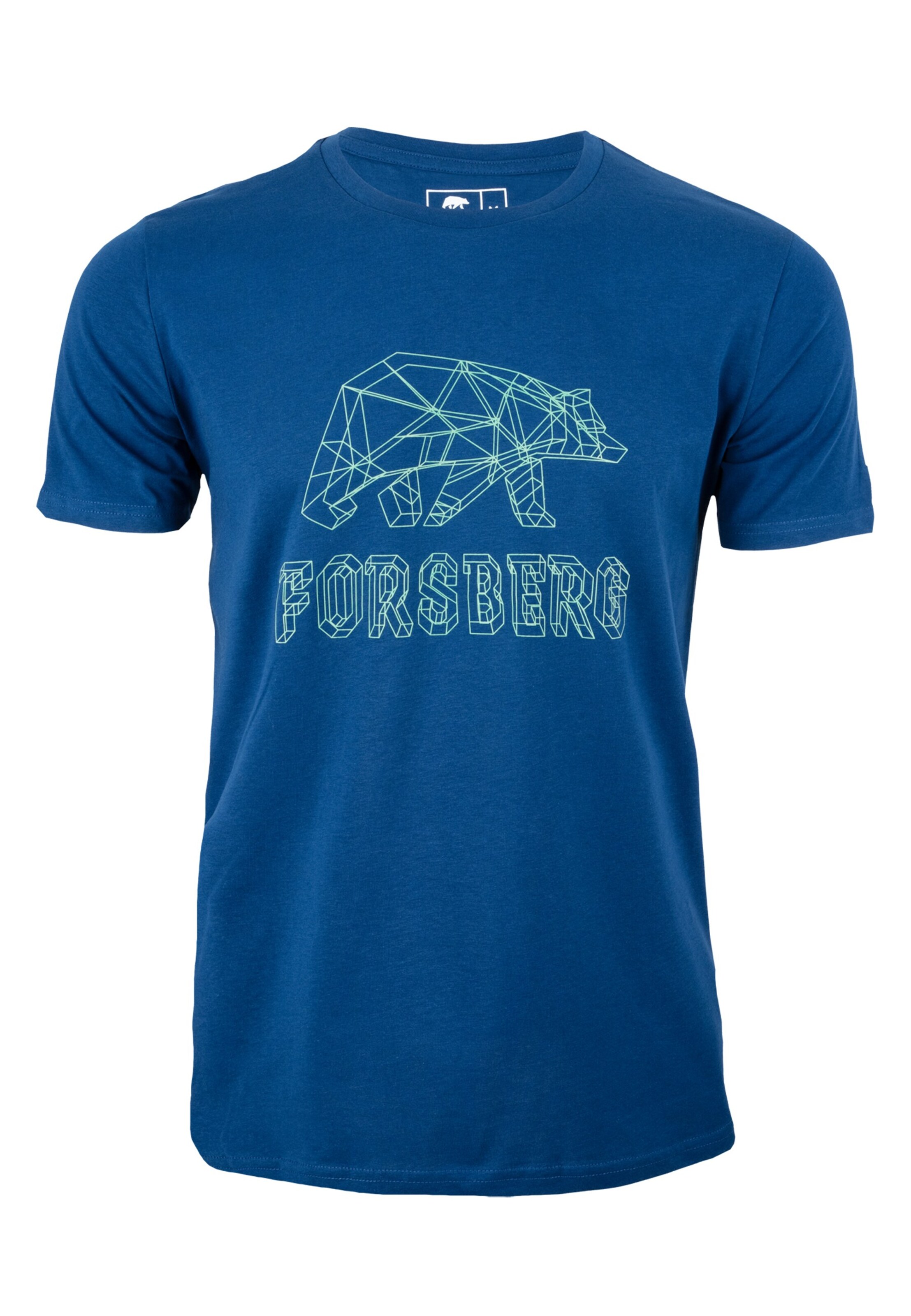 FORSBERG Shirt in Blue: front