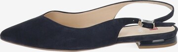 Högl Ballet Flats with Strap in Blue