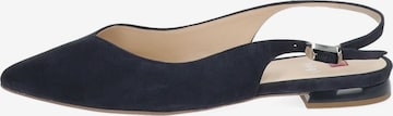 Högl Ballet Flats with Strap in Blue