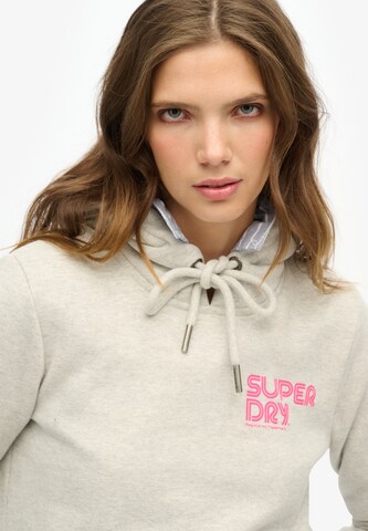Superdry Sweatshirt in Grey