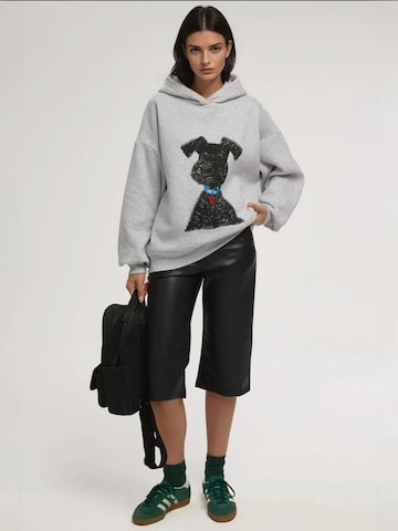 Hiccup Sweatshirt in Grau