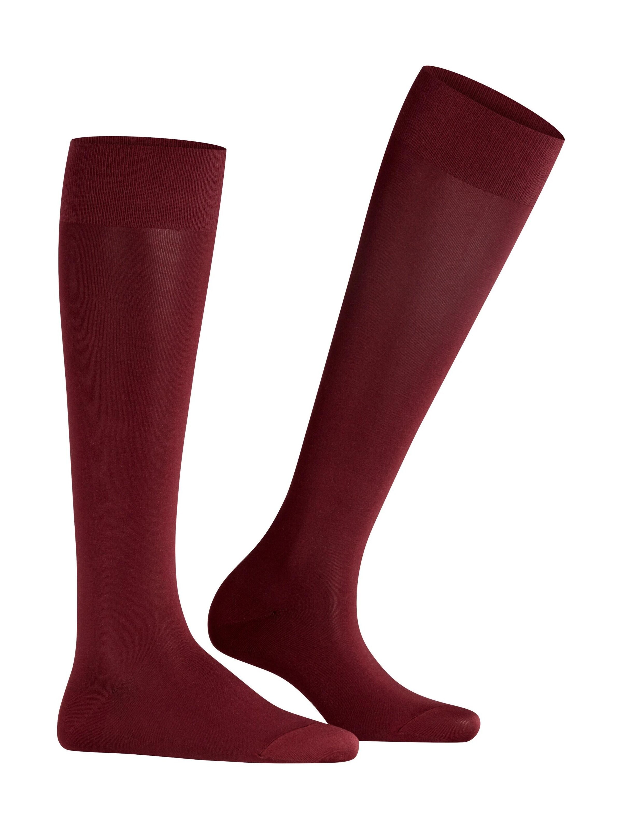 FALKE Knee High Socks 'Cotton Touch' in Red