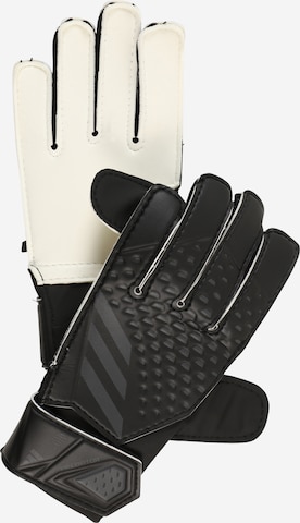 ADIDAS PERFORMANCE Sporthandskar 'Predator' i svart