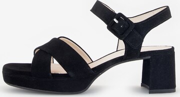 GABOR Strap Sandals in Black