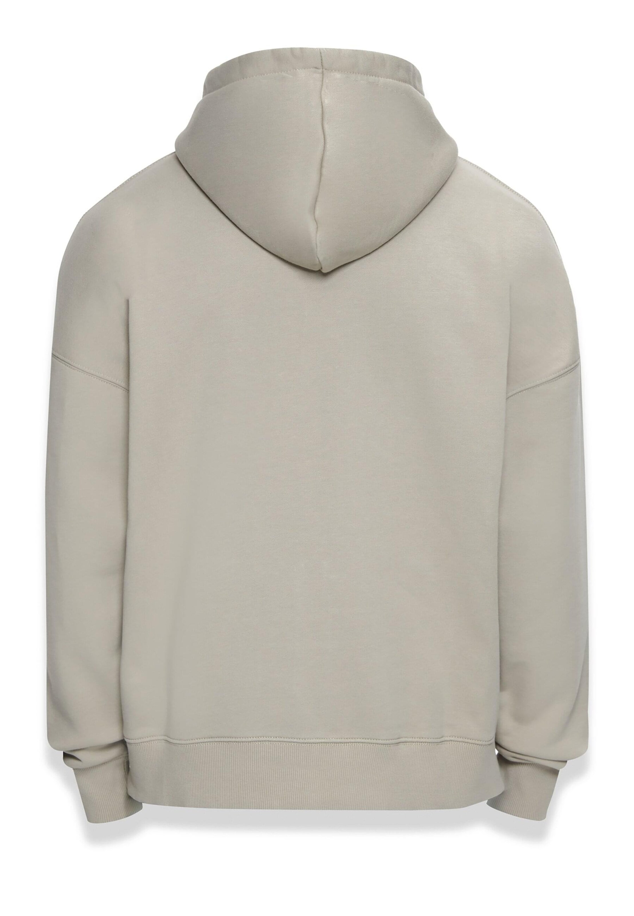 Dropsize Sweatjacke 'Bazix Republiq' in Grau