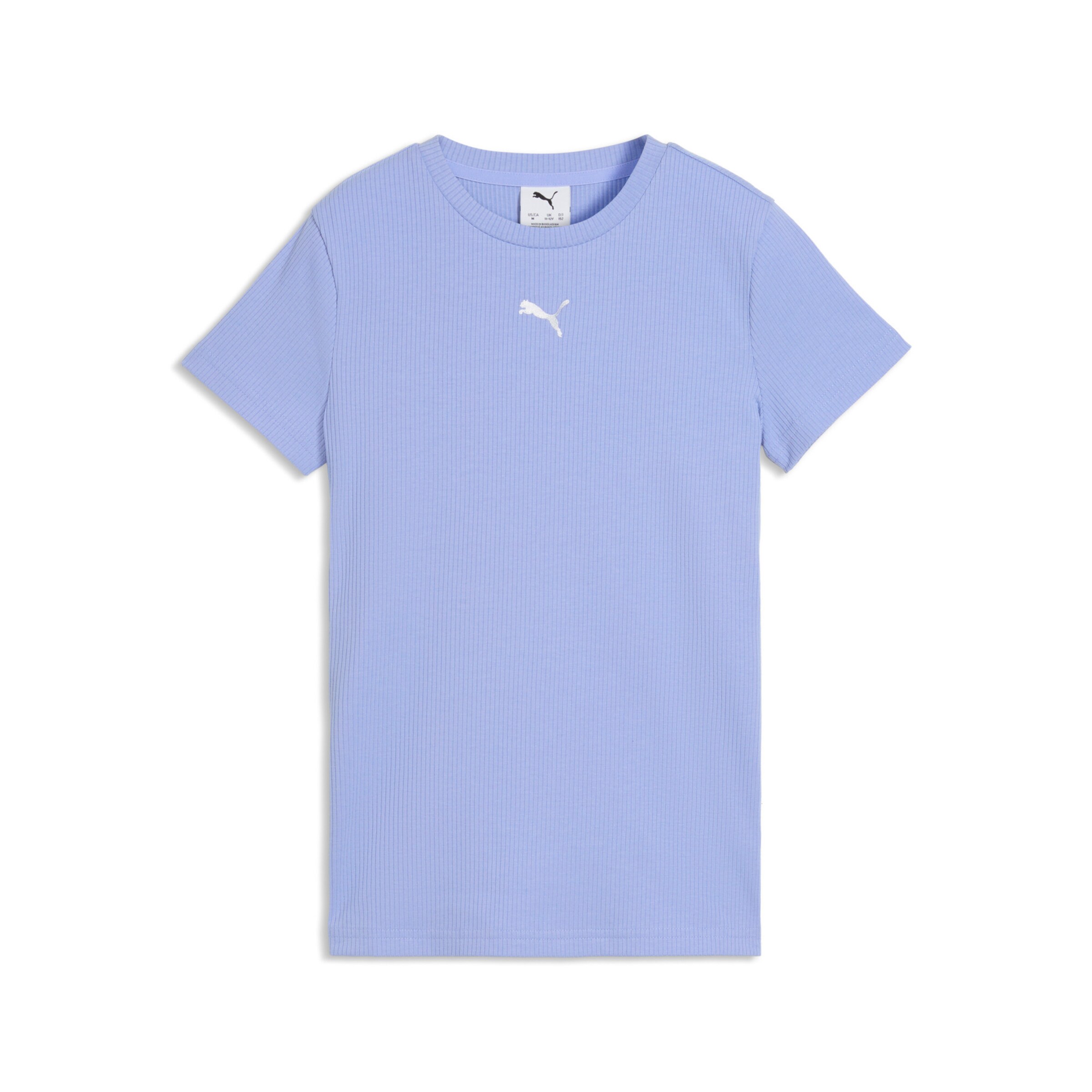 PUMA Performance Shirt in Purple: front