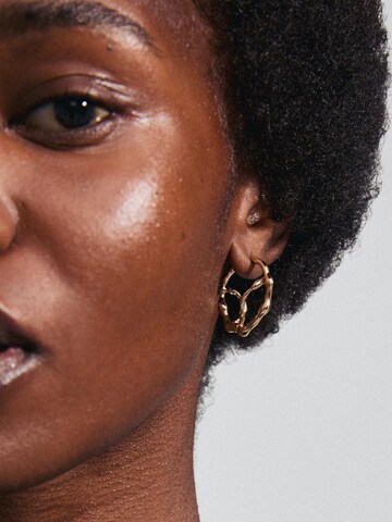 Pilgrim Earrings 'Dido' in Gold