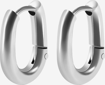 Akzent Earrings 'Milas, langlebig' in Silver: front