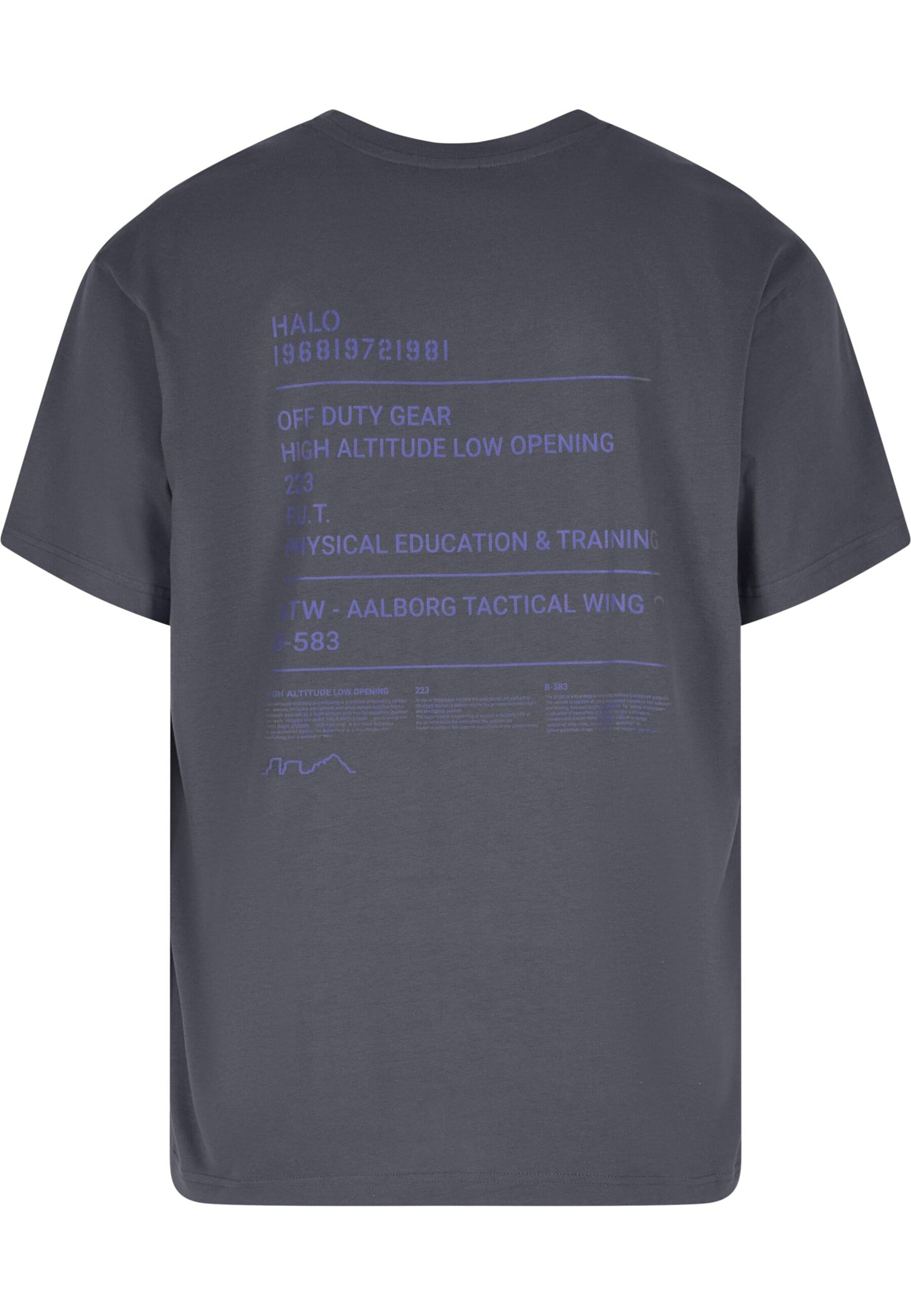 HALO T-Shirt in Grau