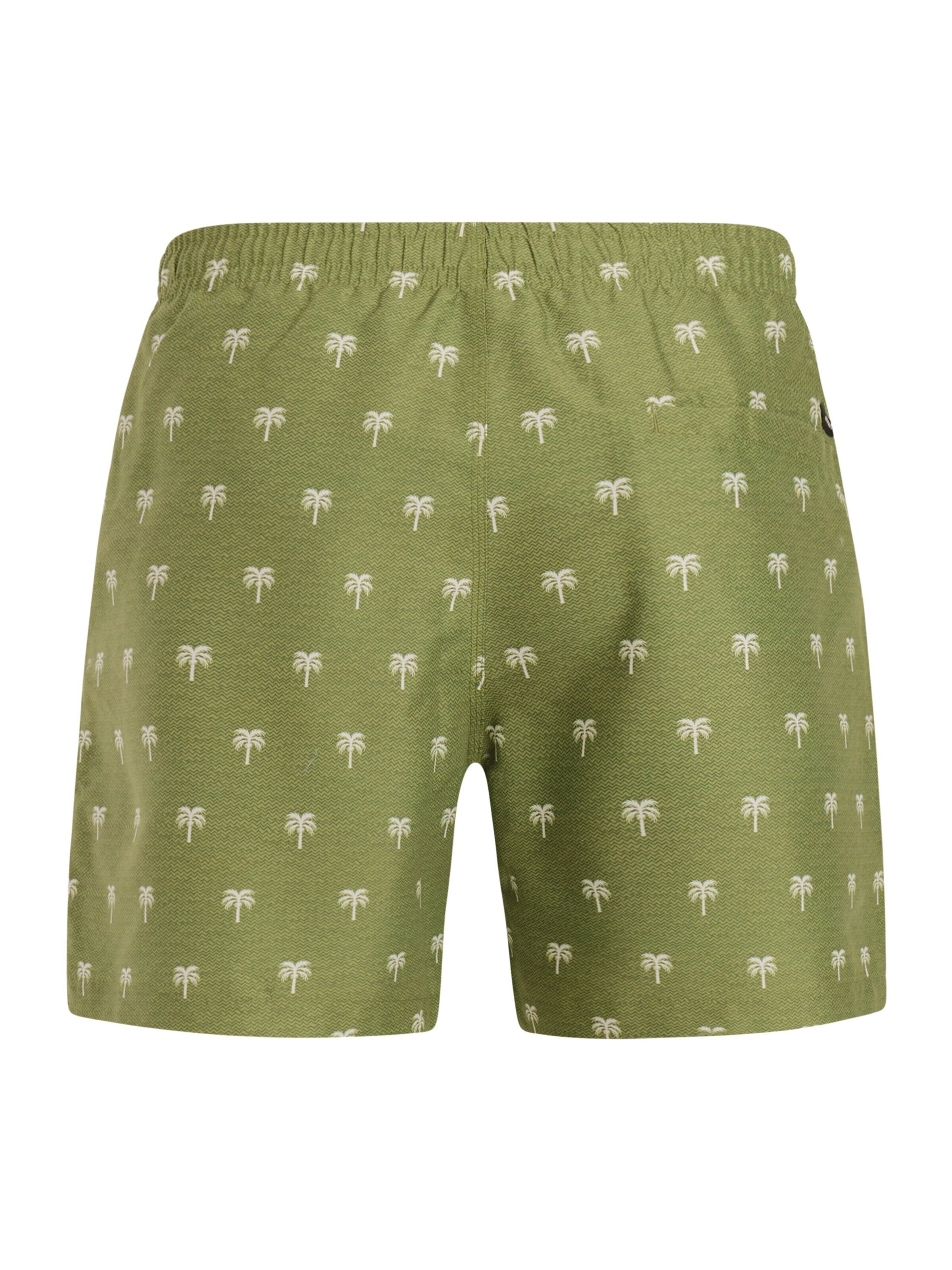 PROTEST Board Shorts 'PRTMascot' in Green
