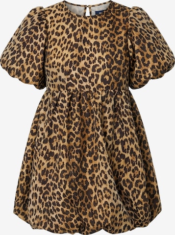 Crās Mekko ' Jamillacras ' värissä ruskea: etupuoli