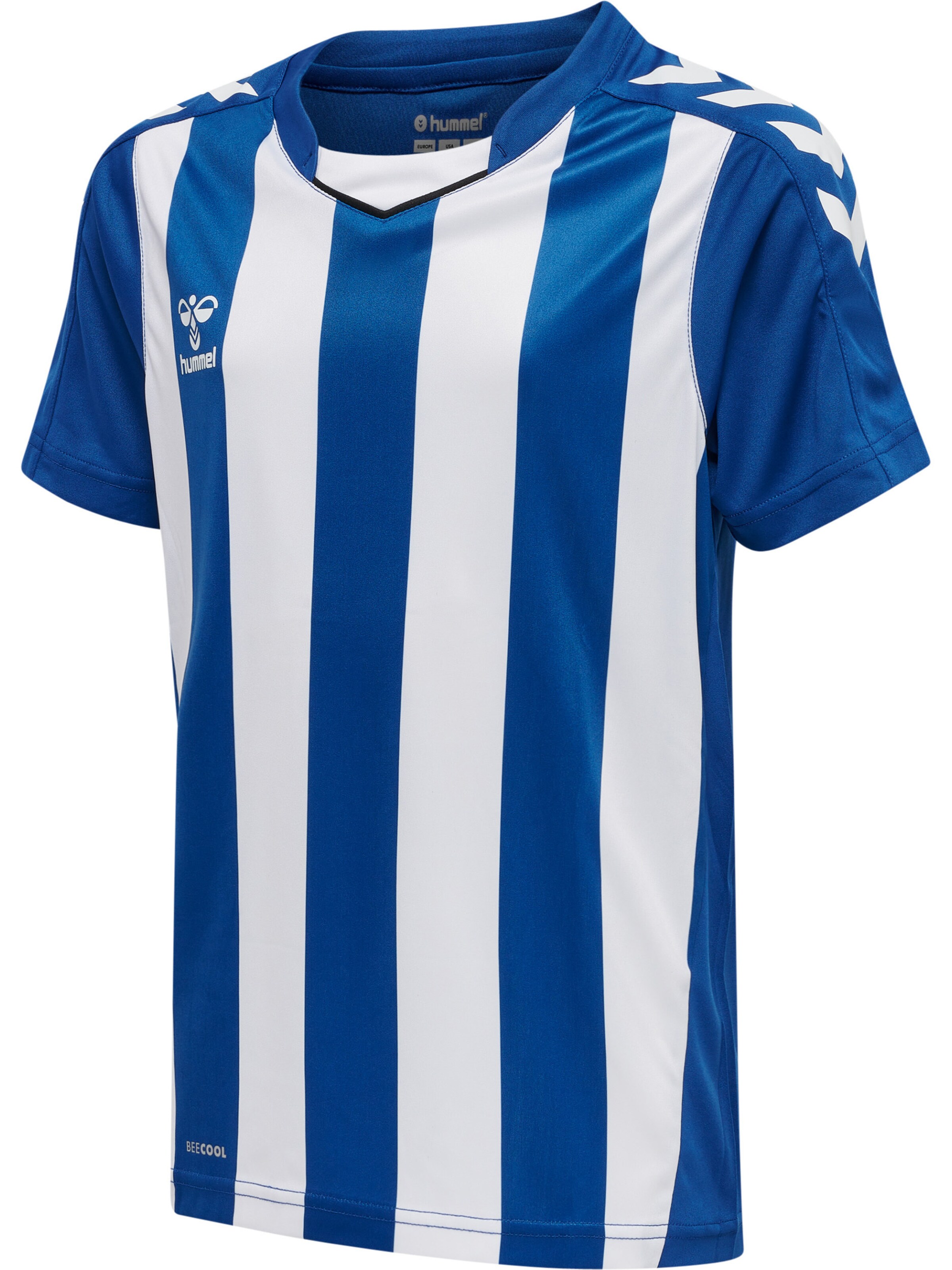 Hummel Functioneel shirt 'Core XK' in Blauw