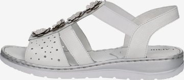 CAPRICE Sandals in White