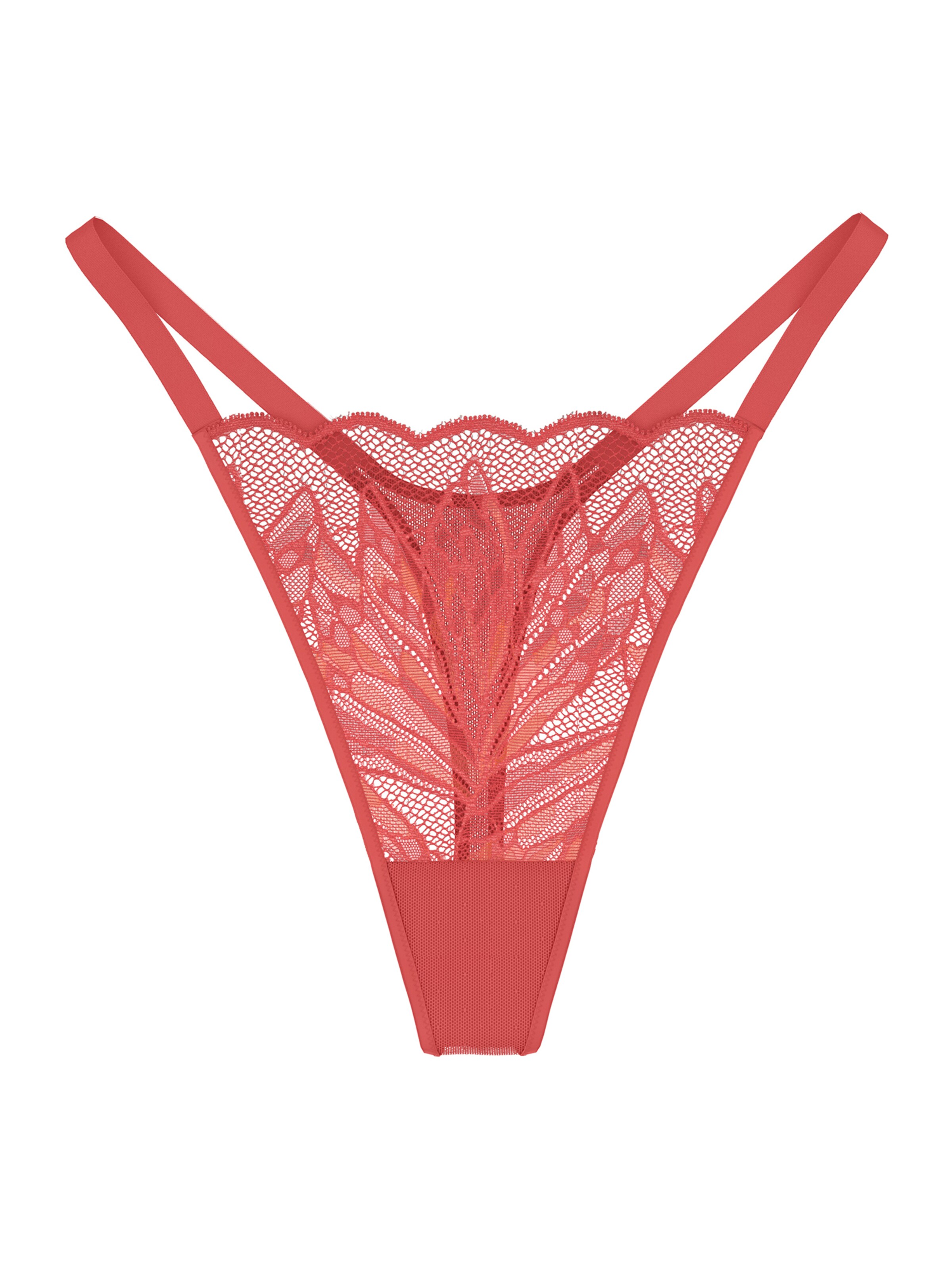 TRIUMPH String ' Red Label Crazy Stupid Love ' in Orange: Vorderseite