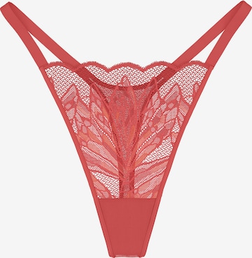 TRIUMPH String ' Red Label Crazy Stupid Love ' in Orange: Vorderseite