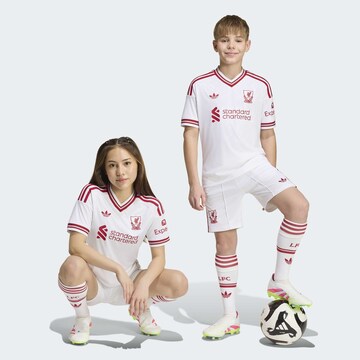 ADIDAS PERFORMANCEregular Sportske hlače 'Liverpool FC 26/27' - bijela boja