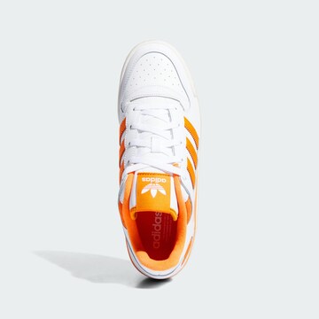 Baskets basses 'Forum' ADIDAS ORIGINALS en blanc