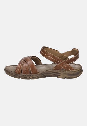 JOSEF SEIBEL Sandals 'Brenda 06' in Brown