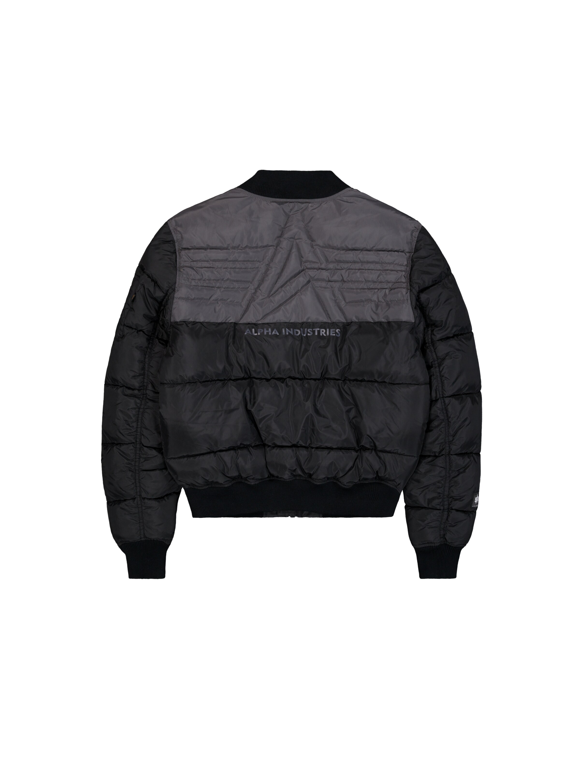 Veste d’hiver ALPHA INDUSTRIES en noir