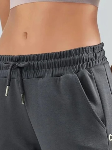 Lady Bersan Trousers 'Jogginghose' in Grey