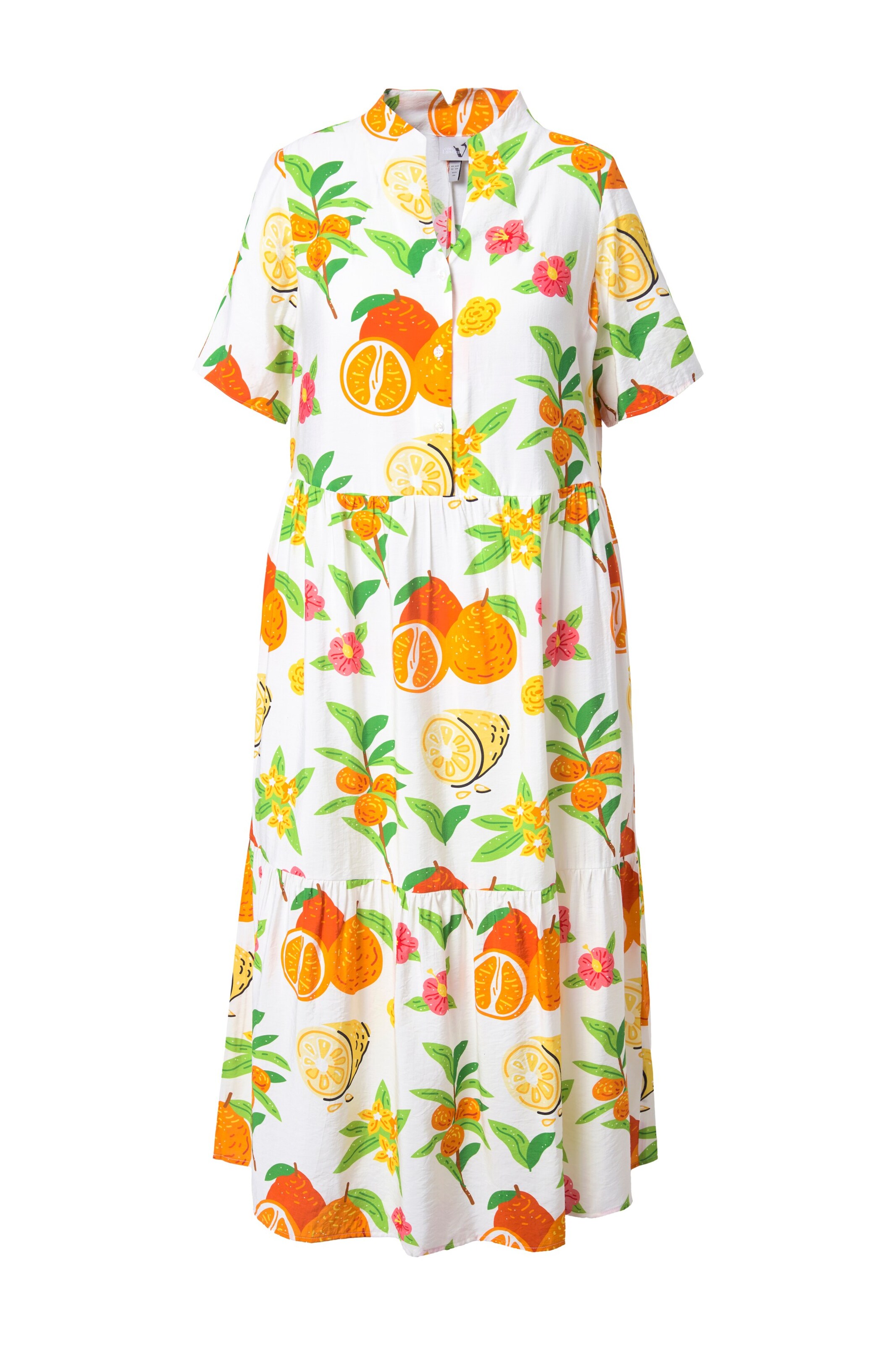 Ulla Popken Kleid in Mischfarben: Vorderseite